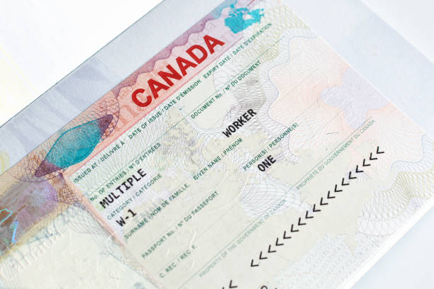 Canada Temporary Foreign Worker Program: How to Apply